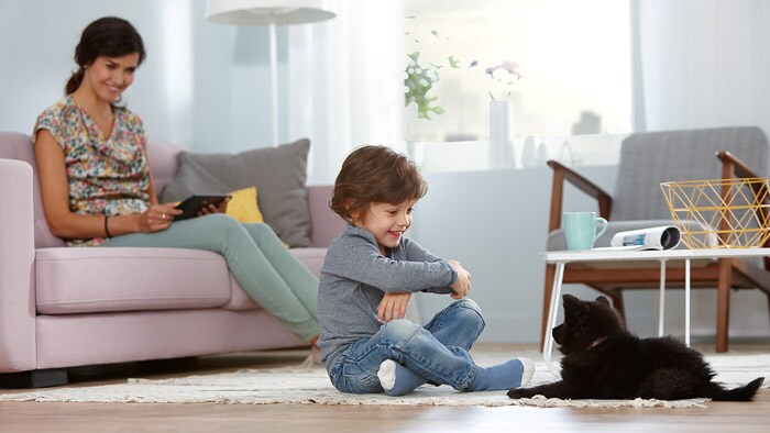 allergie poil de chat remède de grand-mère
