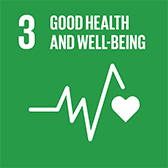 sdg icon