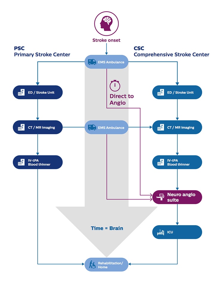 DTAS workflow