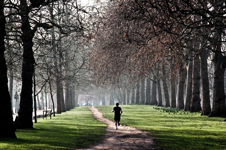Man runing in park pathway with old trees