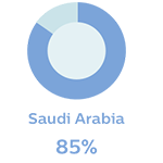Saudi Arabia 85%