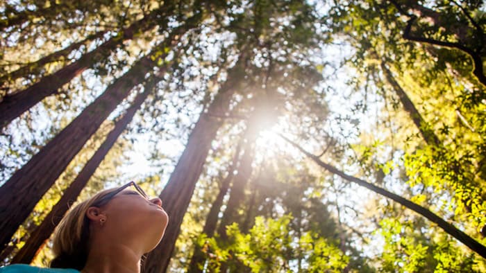 Caucasian woman standing in sunny forest