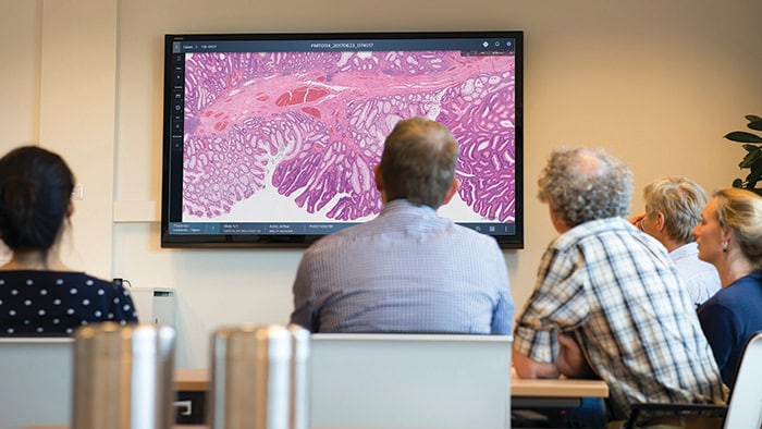 Download image (.jpg) Pathologist reviewing histopathology slides (opens in a new window)