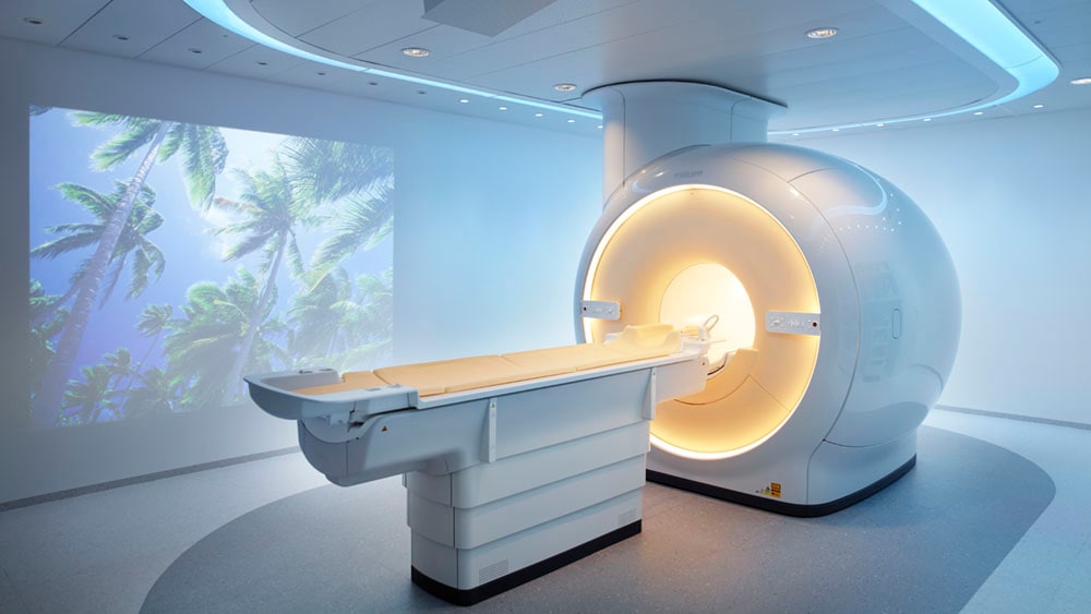 Download image (.jpg) (opens in a new window) Two doctors reviewing mammogram case