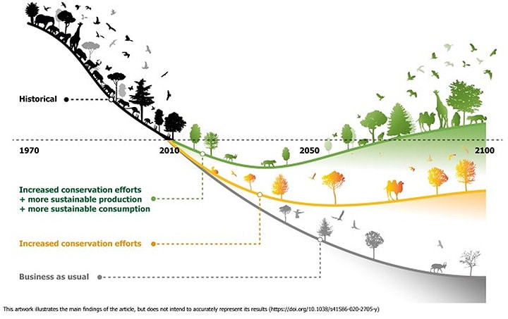 2015 Annual Report - The Pace of Nature, PDF, Walking