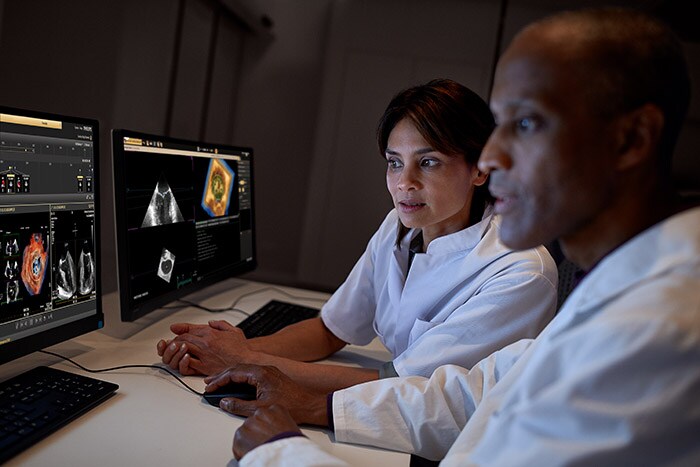 Download image (.jpg) (opens in a new window) Clinicians using Ultrasound Workspace