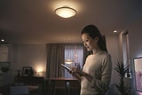 Philips Hue Phoenix