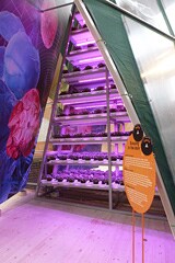 Philips LED horticulture innovation at the Floriade 2012