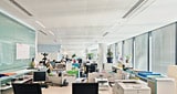 Light Balancing Solution Philips Somfy