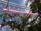 Foto LED-onderzoek