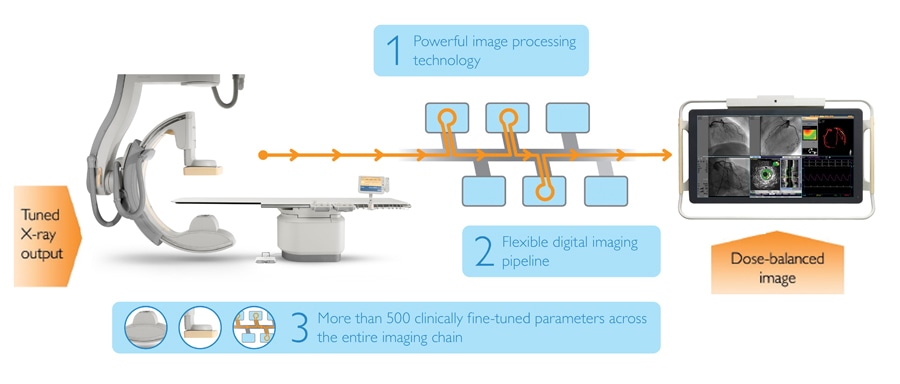 Infographic image