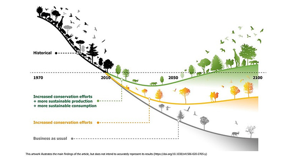 biodiversity curve