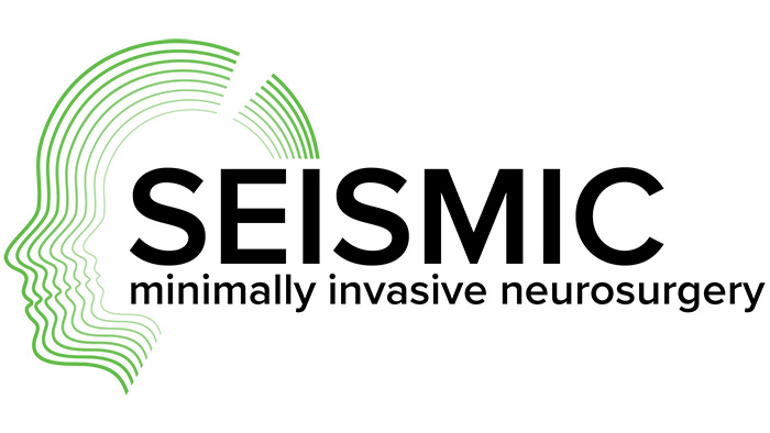SEISMIC project logo -  